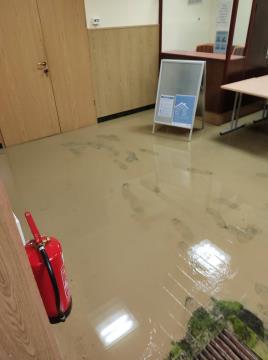 Posledice neurja, foto Igor Kasic (2)